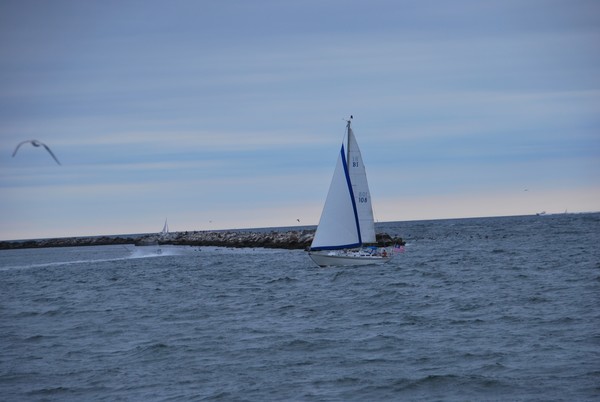 The Ocean State