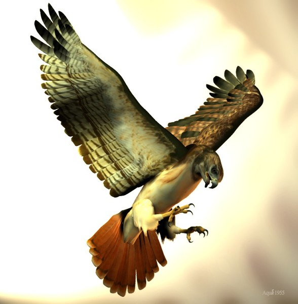 Prey