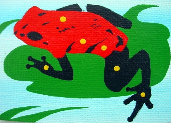 *RED TREE FROG*  SOLD