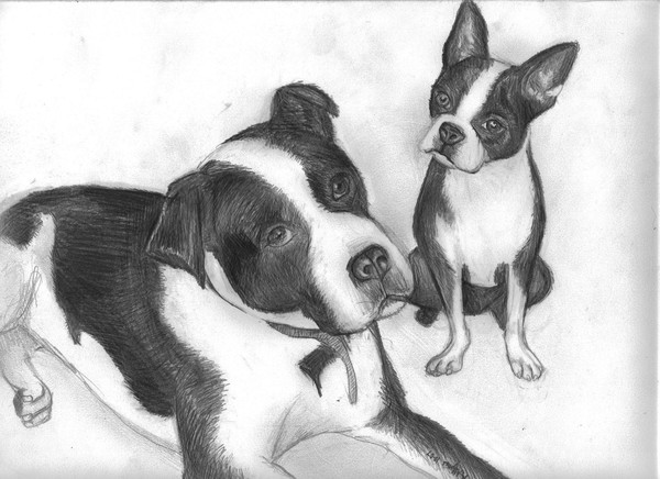 Moo Moo Dogs, a piece for my teacher