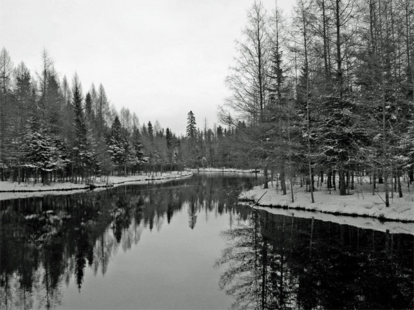 Winter Reflections
