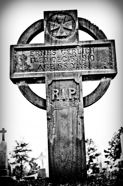 Cross #1