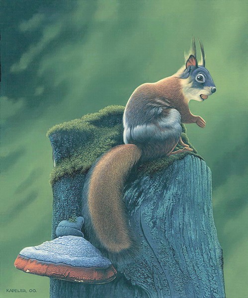 Squirrel