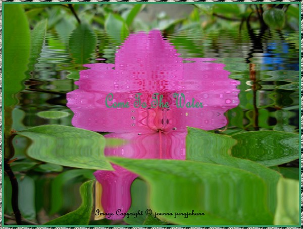 Come to the Water