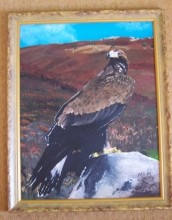 Golden Eagle
