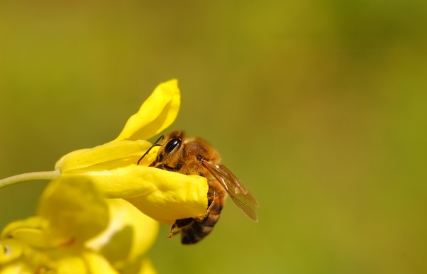 spring moments