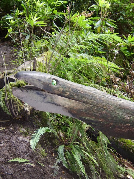 Wood snake
