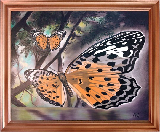 butterfly