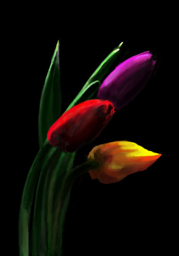 Tulips
