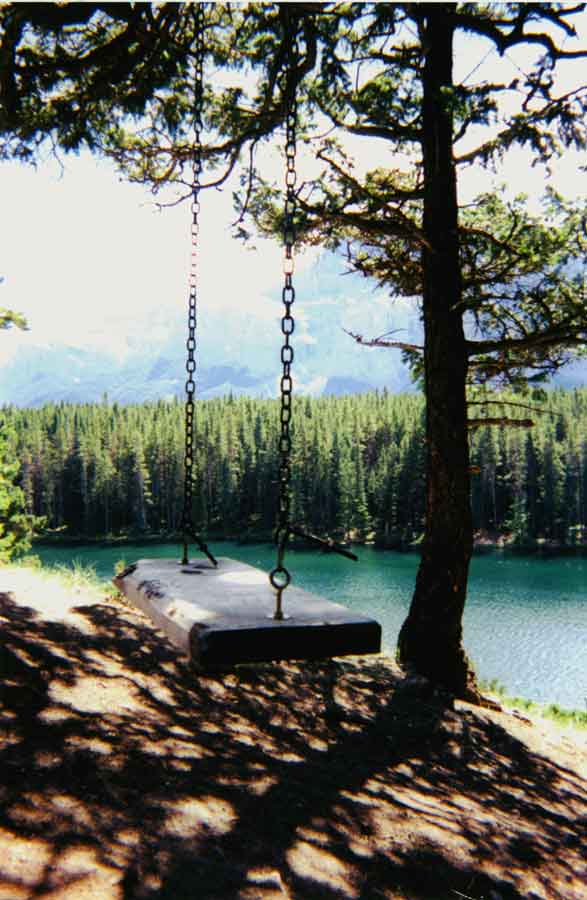 Mountain Swing