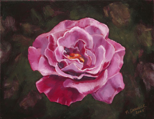 Rose:  Angel Face