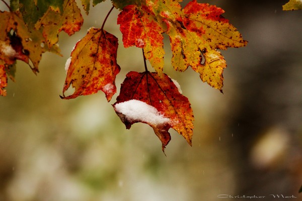 First snow