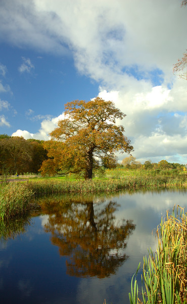 Autumn in Cheshire England