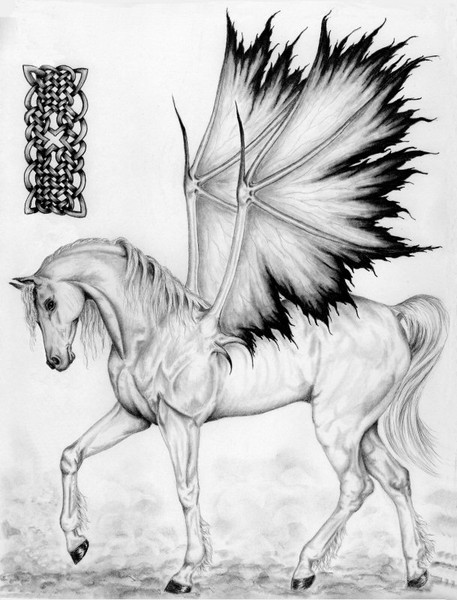 Steed O' the Fae