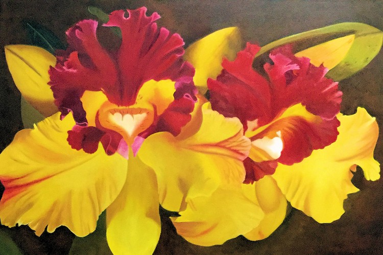 Orchids 2018