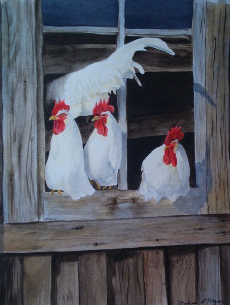 just us chickens