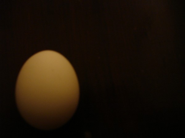 the birth