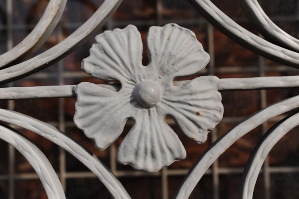 Iron Flower