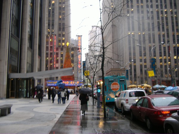 Nov. in the rain