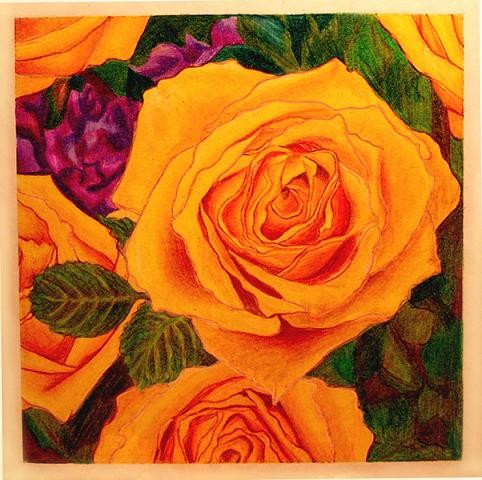 a rose is a rose