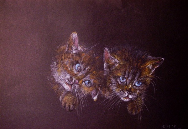 Kittens