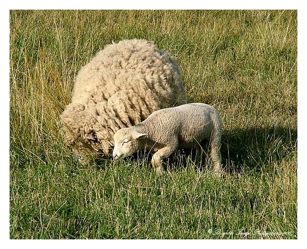 Mama & Baby