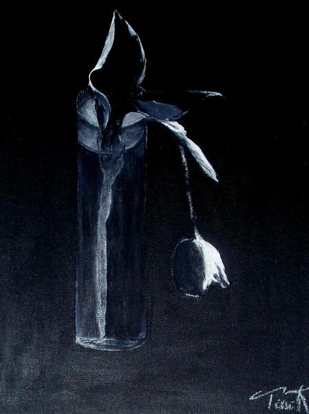 Tulip