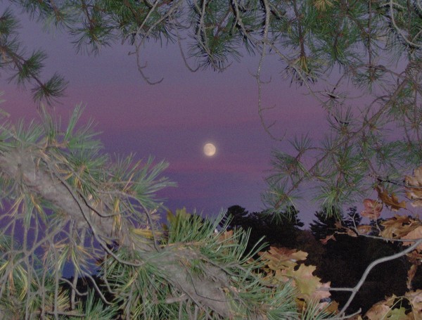 Sunset Moon