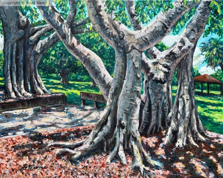 “Banyans at Dreher Park”