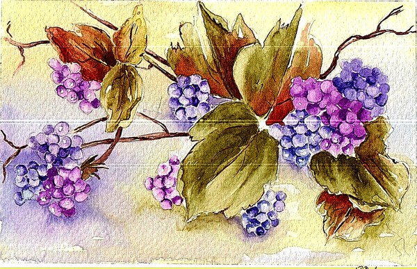 blackberries