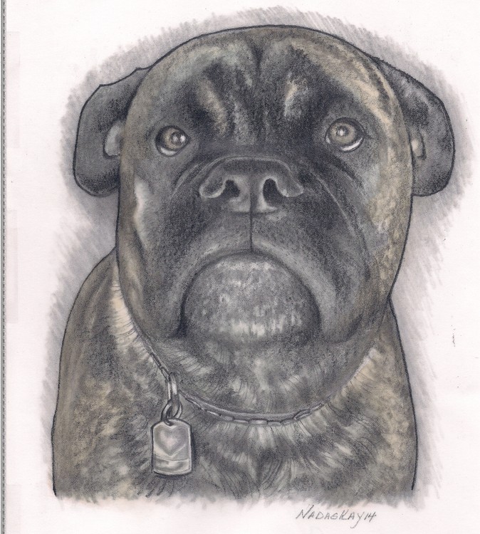 Moose full size final