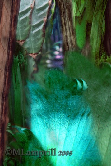 Blue Abstract leaf