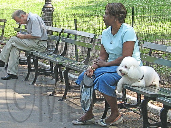 Central Park NY-4