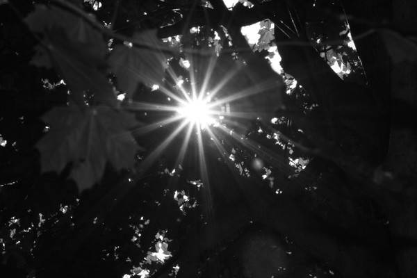 break of light