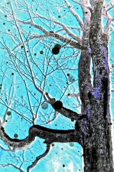 digital-tree