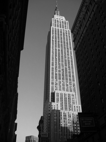 NYC Perspective