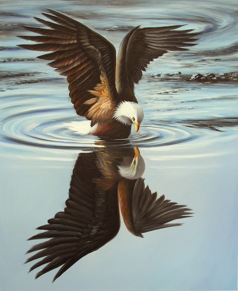 Majestic Reflection