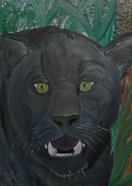 Black Leopard