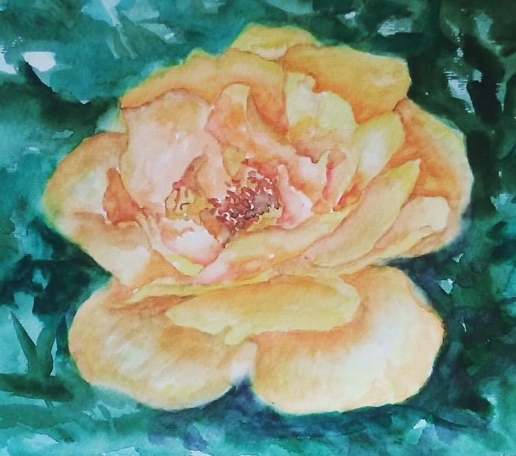 Flower 2 $90 USD