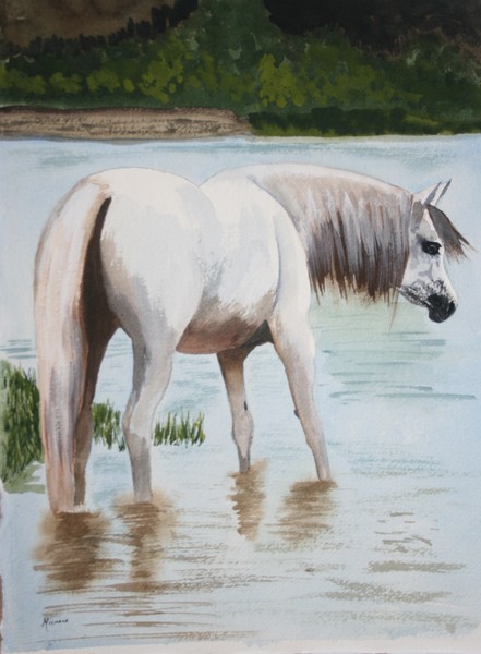 Watering Hole