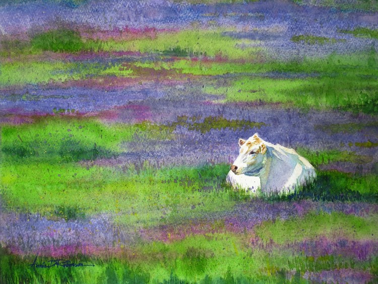 Snow in the Meadow