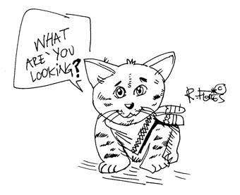 Little Cat