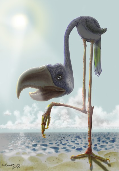 Prehistoric Flamingo