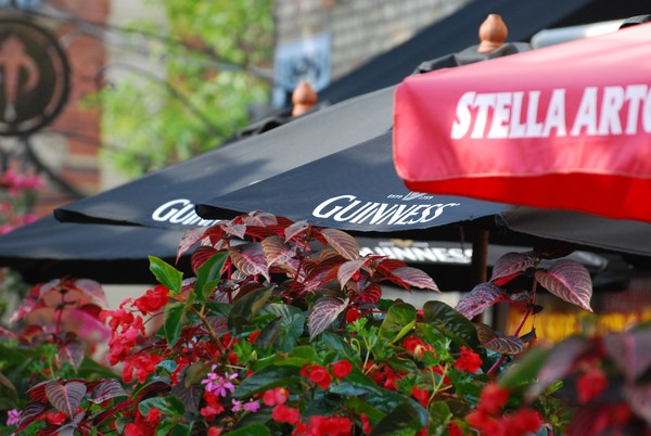 Patio Bar