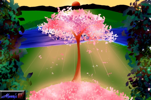 Cherry Blossum the last one