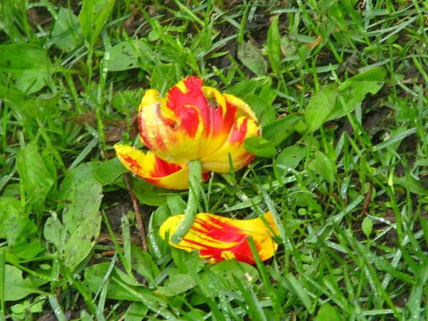 ..on the ground..