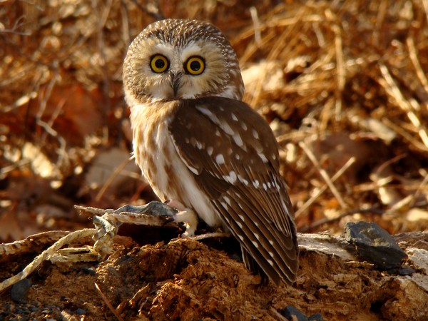 you looking at me?