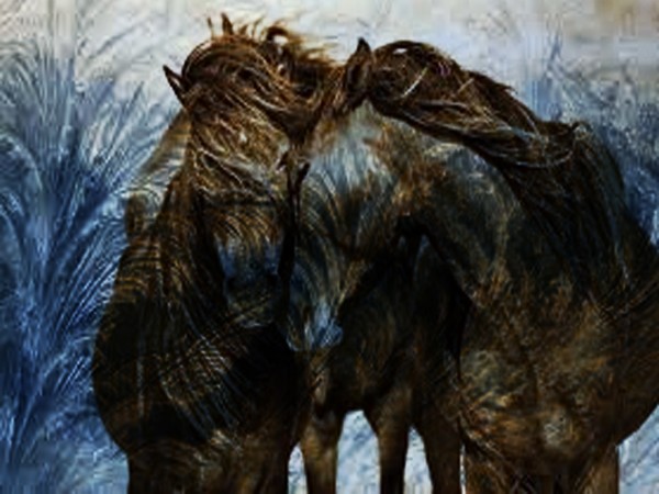 wild hearts 2