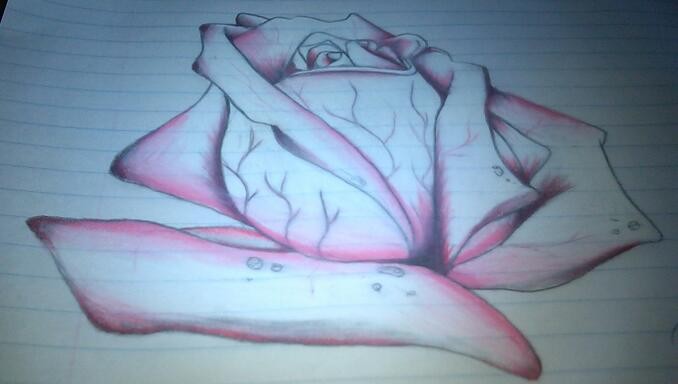 moms rose