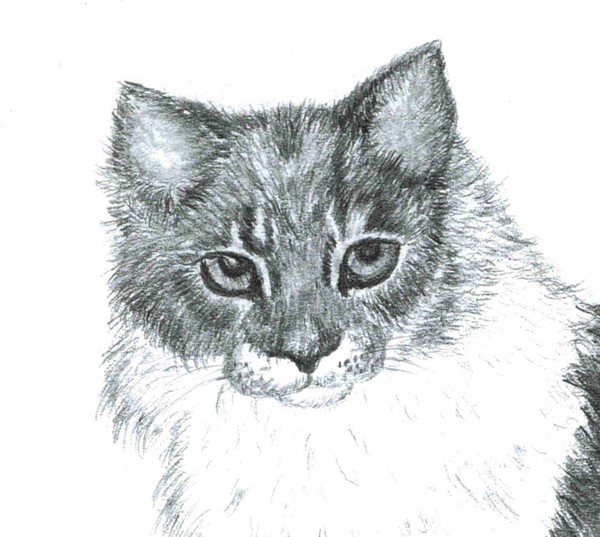 Smudge